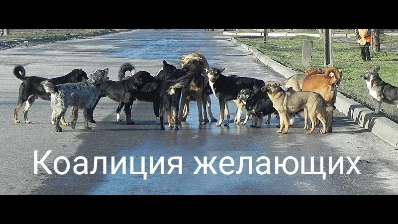 Министры обороны ЕС не смогли договориться о передаче Киеву оставшихся у отдельных стра...