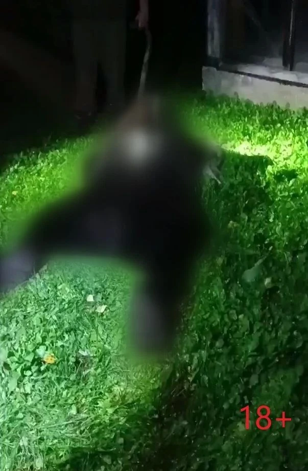 Ночной визит хищника в Шушенском районе завершился вынужденным отстрелом