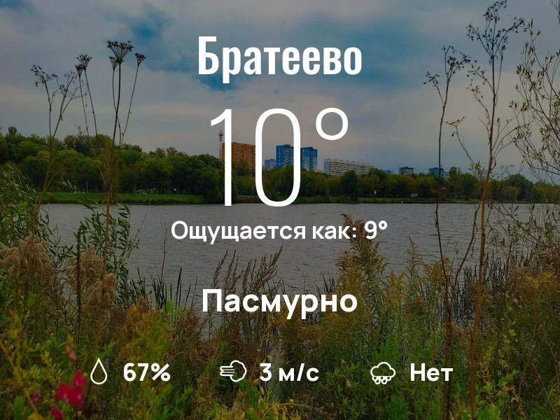 Что с погодой в Братеево?