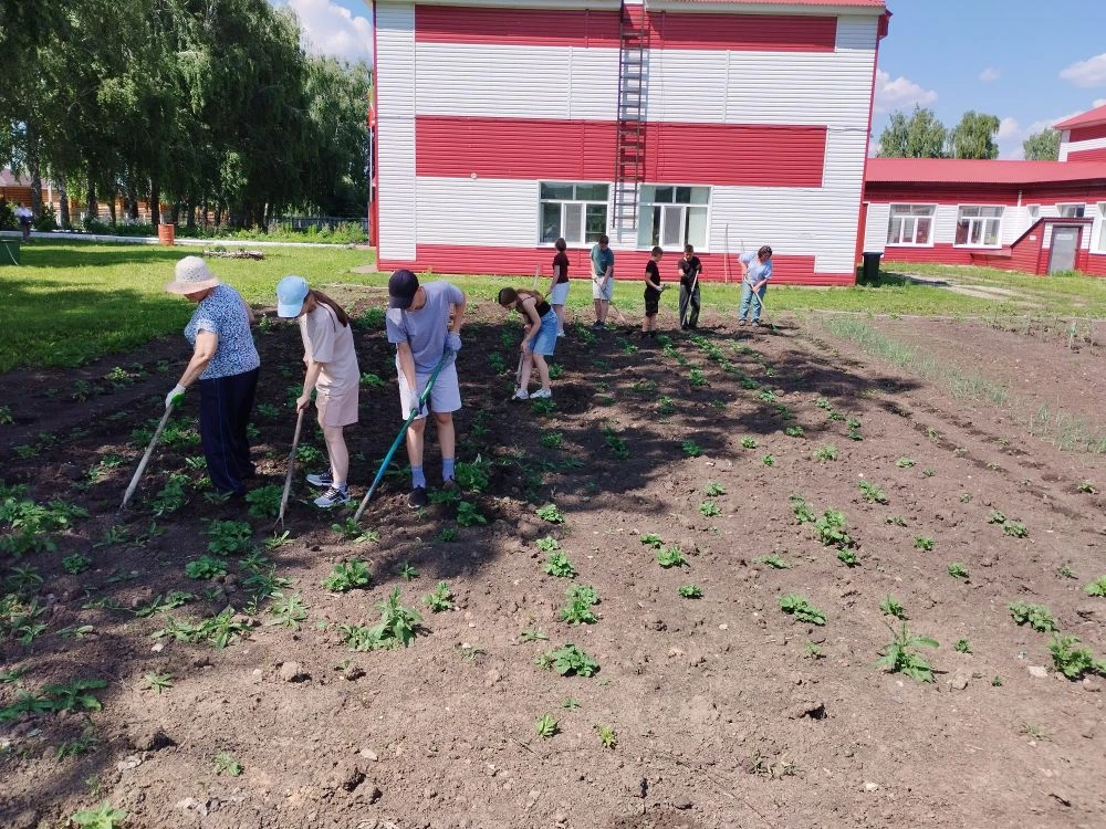 Сегодня в пришкольном лагере труда и отдыха "Солнышко" МБОУ "Кильдюшевская СОШ" ребята отдыхали и тр