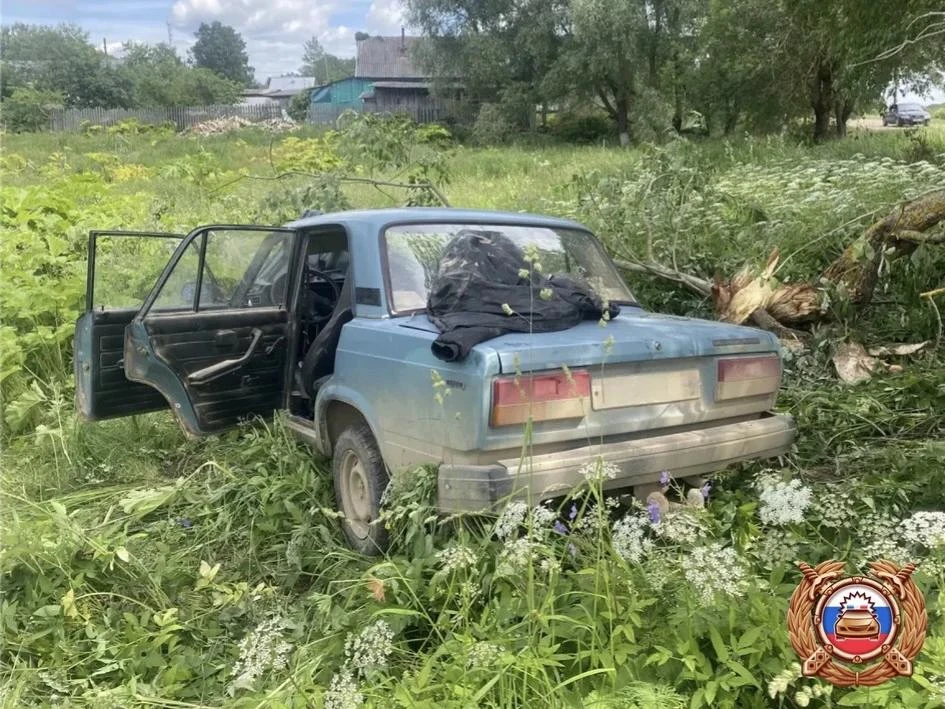 В деревне в Тверской области водитель протаранил дерево в зарослях борщевика.

21 июня в Оленинском 