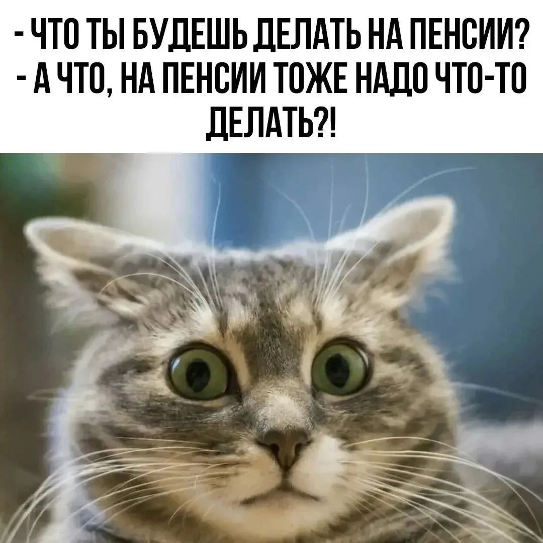 👉 Подписаться