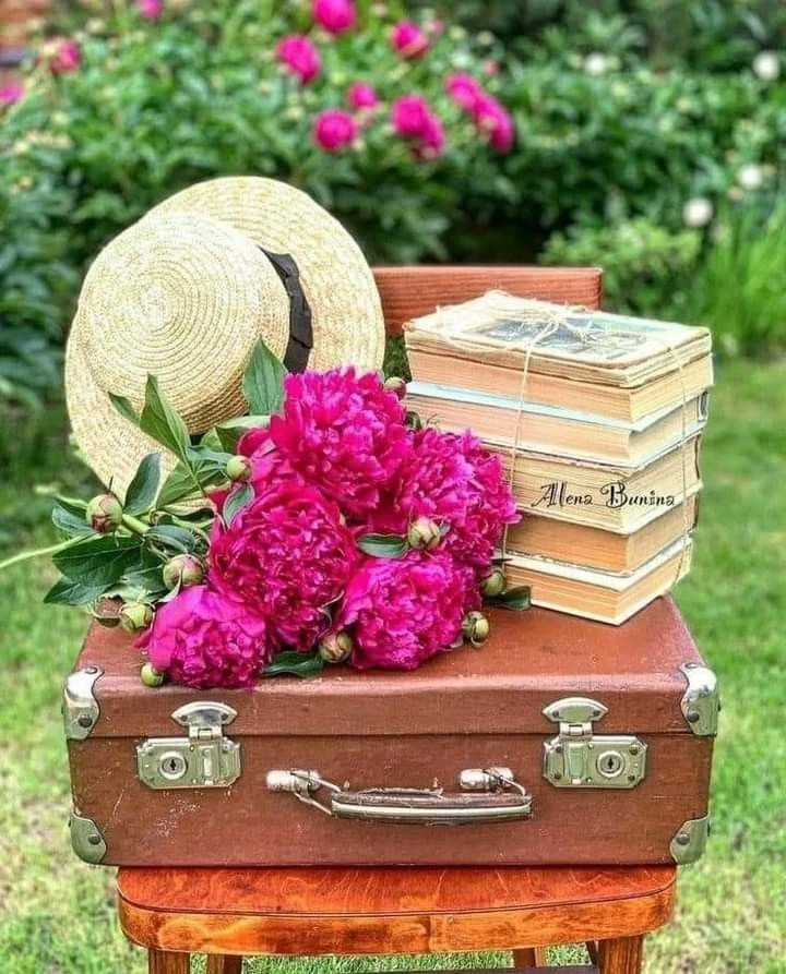🌿🌼📖
