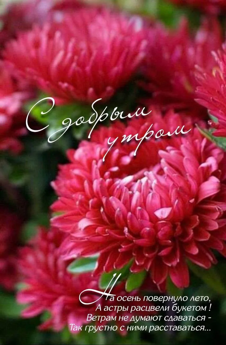 💖 Рассказы | Подписаться ♥