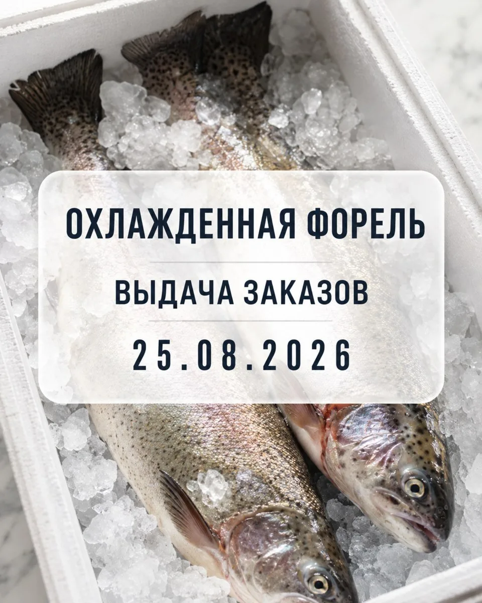 🐟 Поставка охлажденной форели 25 августа!