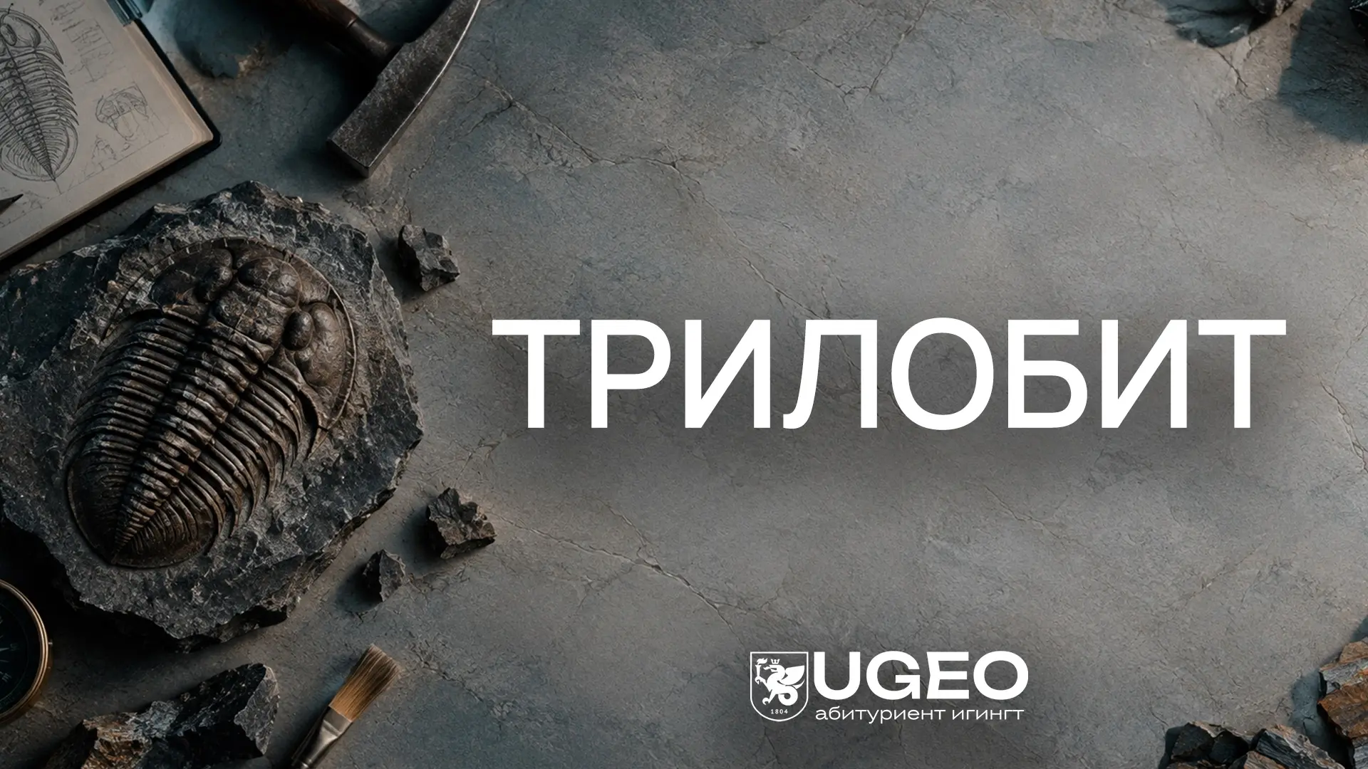 Это вымершее морское членистоногое, жившее в палеозойскую эру, достигло расцвета в ордо...