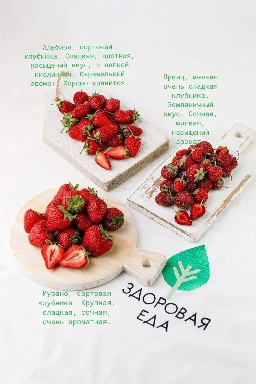 ✅ Магазин работает до 20.00