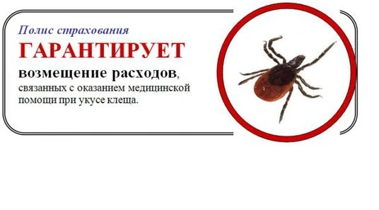 📣Где застраховаться