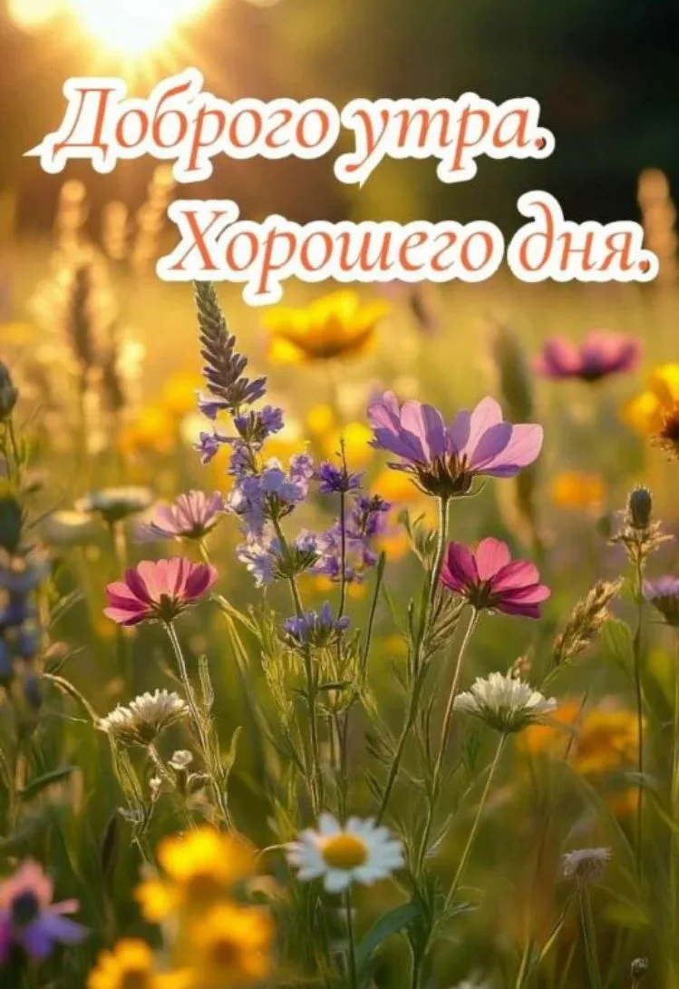 Здравствуйте! Хорошего Вам дня!