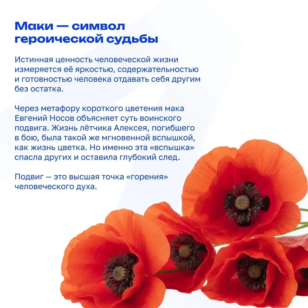 🌷Любовь земли и прелесть года,  Весна благоухает нам!.. (Фёдор Тютчев)  Скоро природа проснётся от з