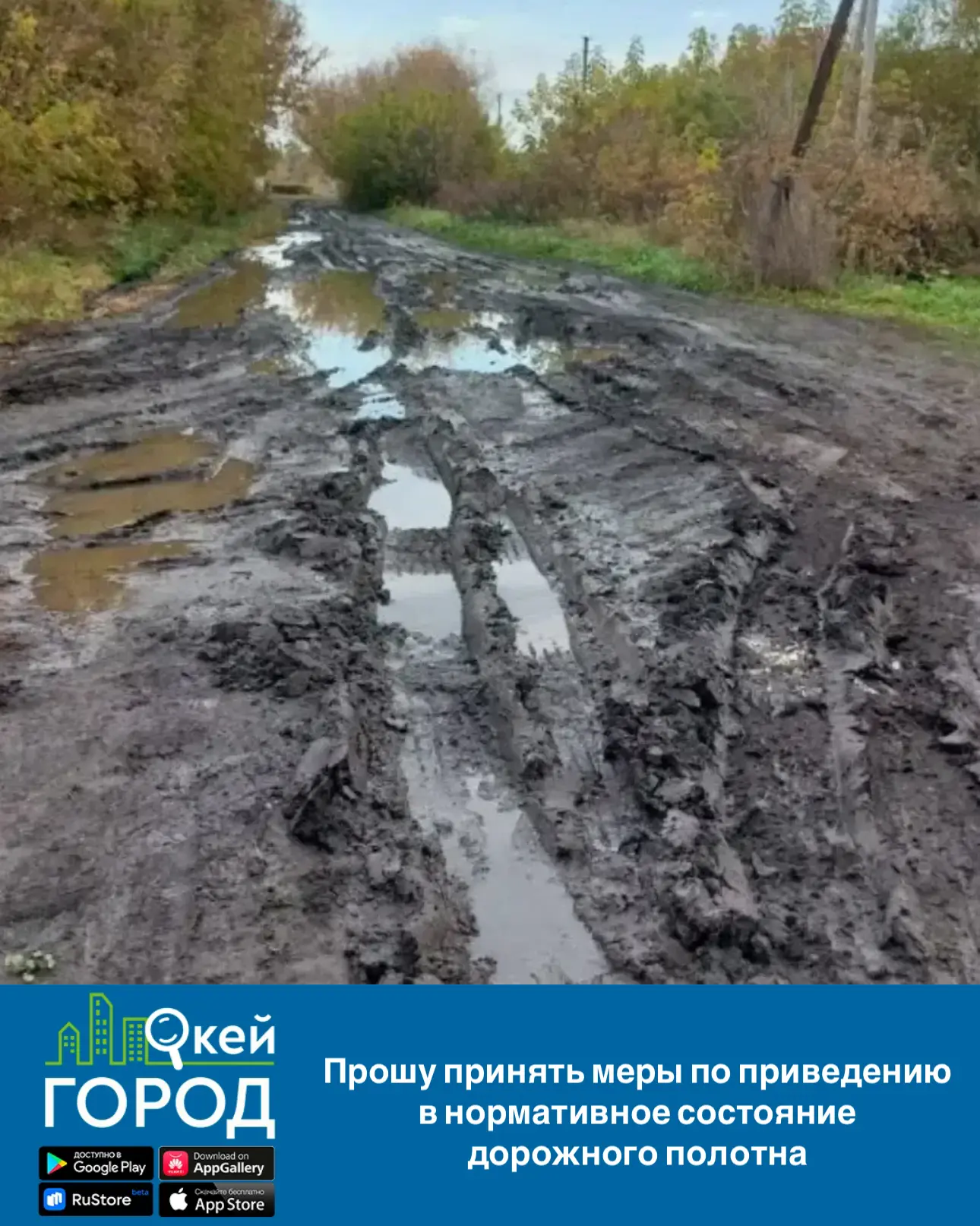 Главе администрации Южненского сельского поселения