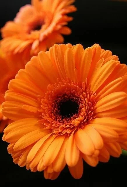 Добавьте тёплые тона , к той жизни что сегодня Вам дана 🧡🏵️