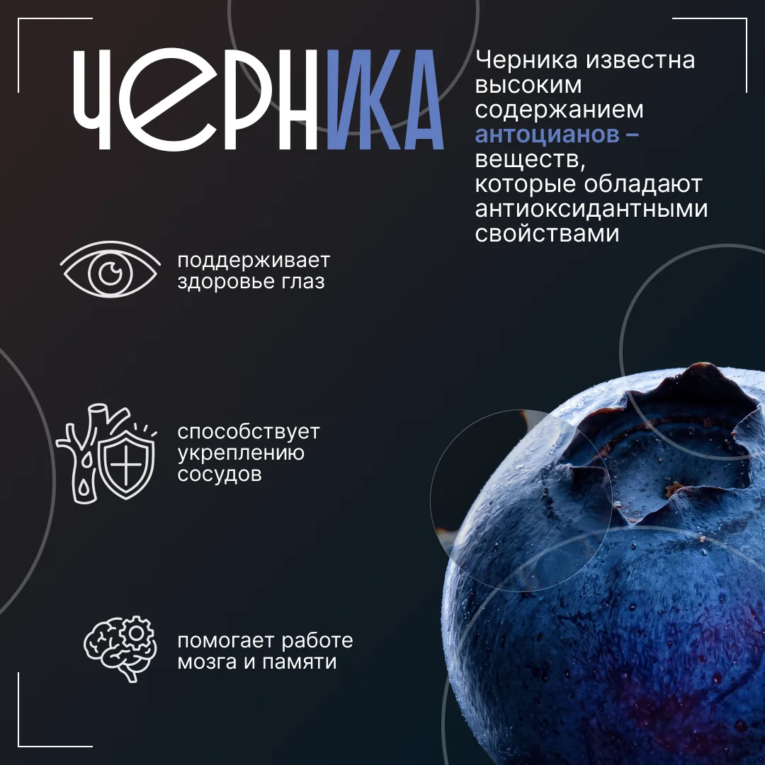 С июля по сентябрь тундра щедро делится своими дарами. Уже начинается сезон морошки, совсем скоро к 