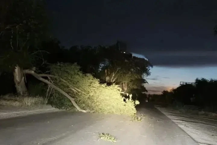 В Красноармейском районе упавшее дерево перекрыло дорогу.

На участке от Керамического завода до ули
