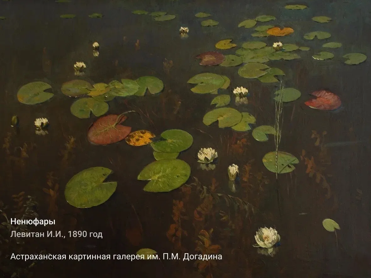 3 интересных факта о картине «Ненюфары» Исаака Левитана из коллекции Астраханской карти...