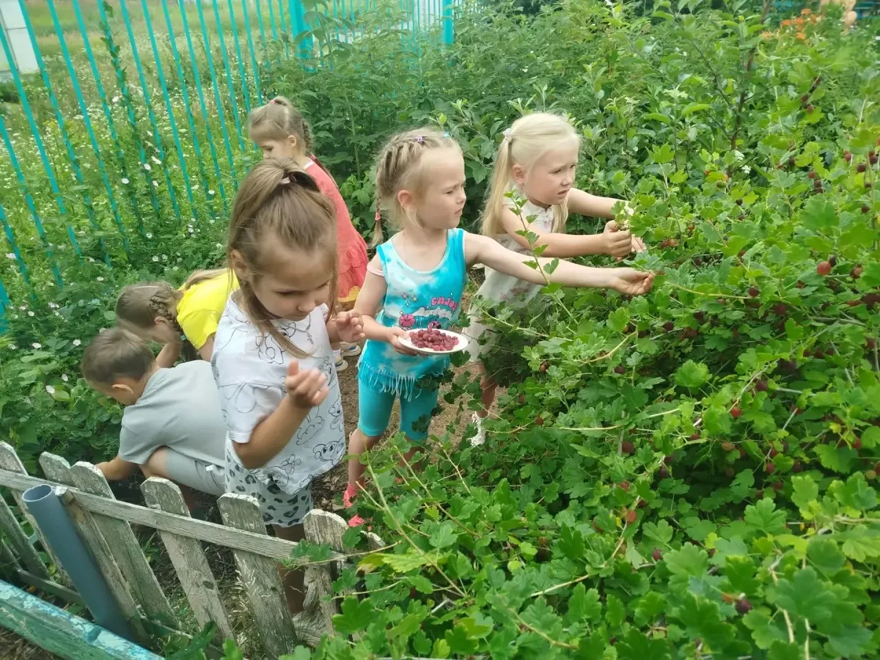 🌿 В рамках летнего проекта в группе «Светлячки» прошла неделя под девизом: «Мы выбираем здоровье!»
