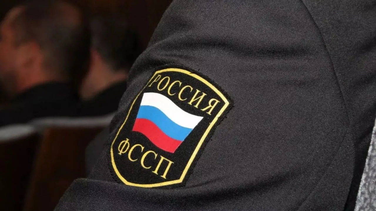 Нижегородские приставы изъяли у посетителей судов свыше 200 единиц оружия и боеприпасов.
Всего пресе