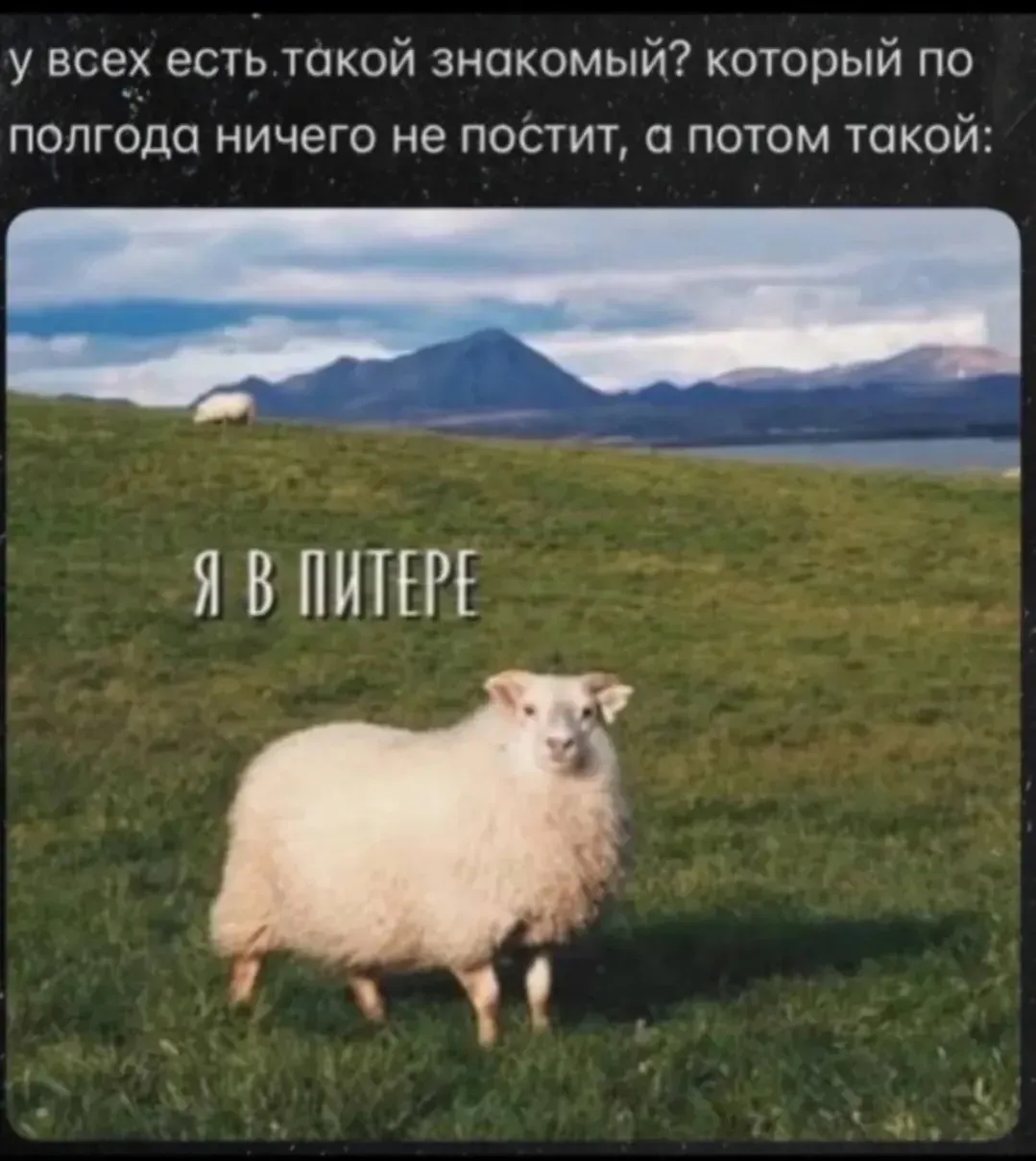 Есть?😂
