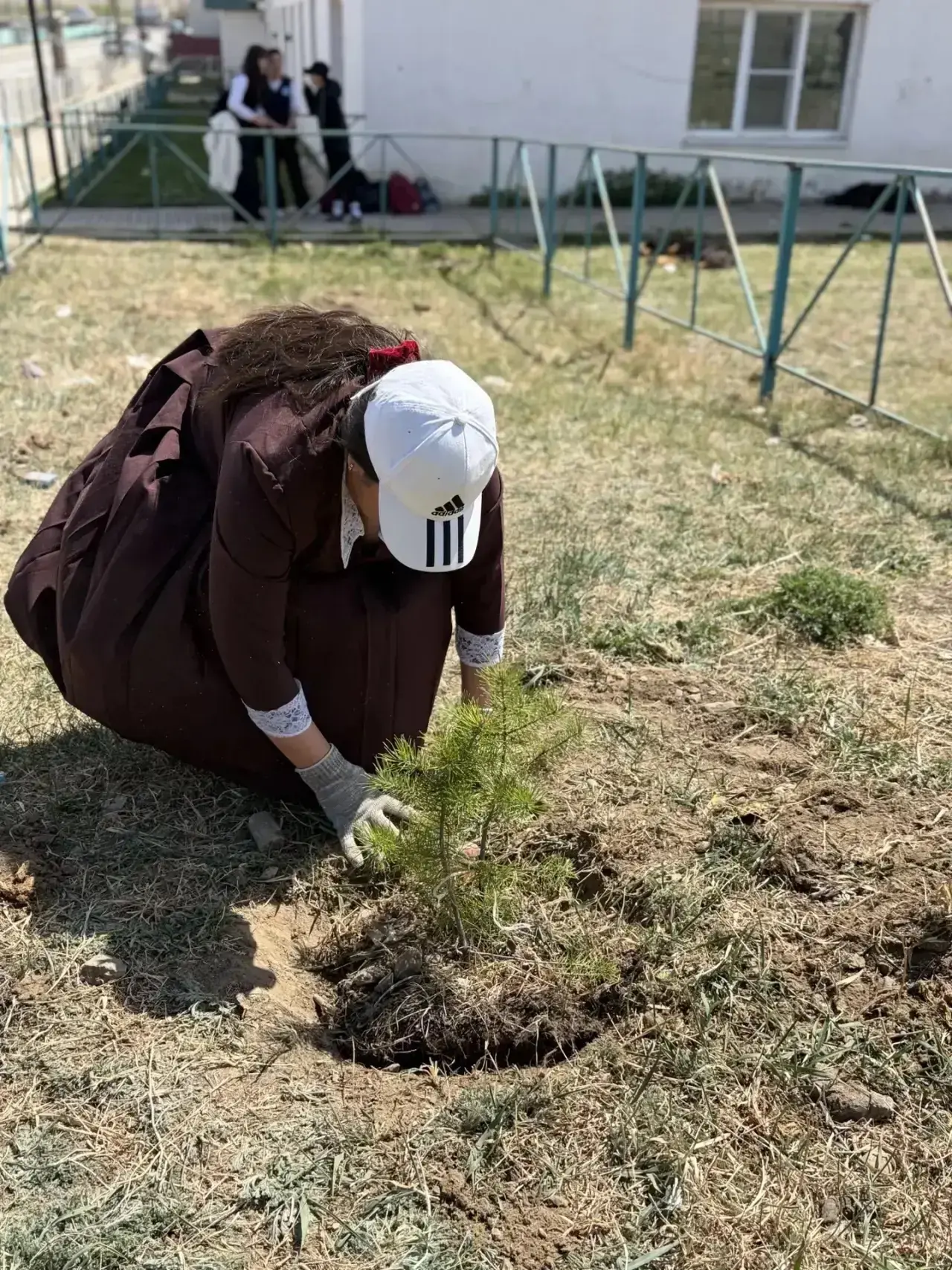 🌳 Акция «Посади дерево»