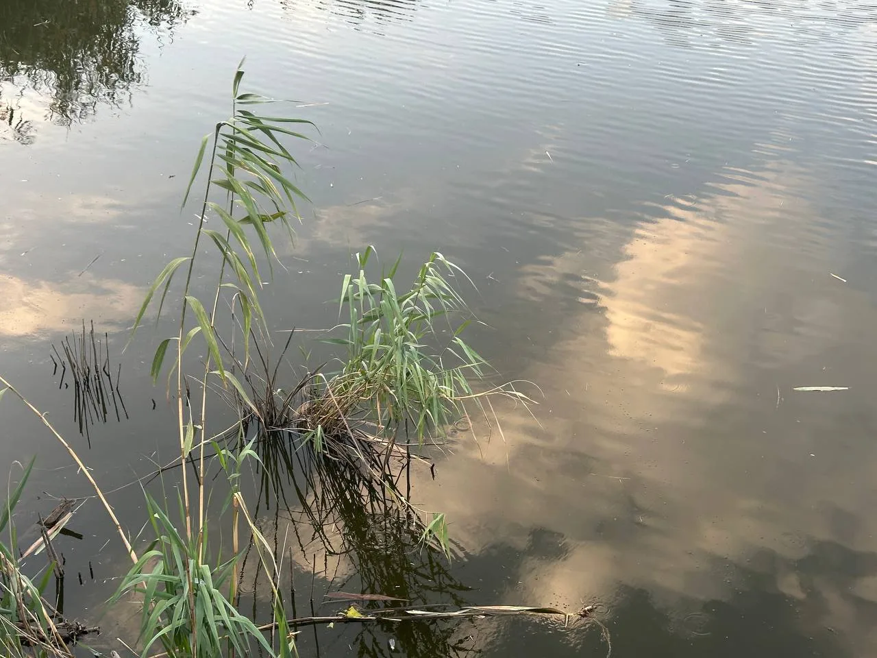 ❗На водоемах Кубани утонули 37 человек с начала года

В МЧС рассказали, что среди погибших на воде –
