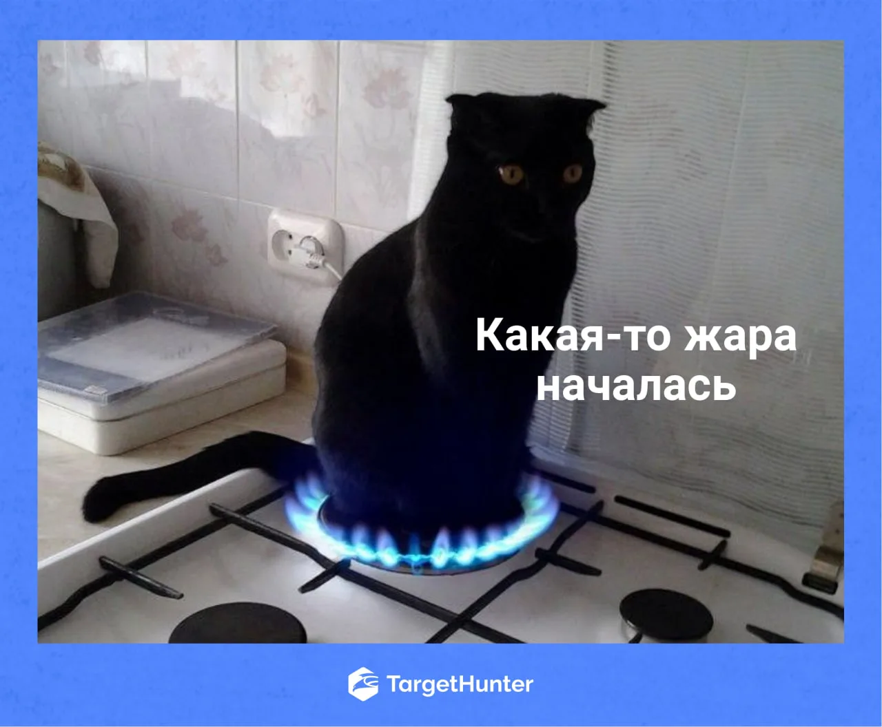 В ближайшие дни намечается жаришка, и не только на улице 🌚