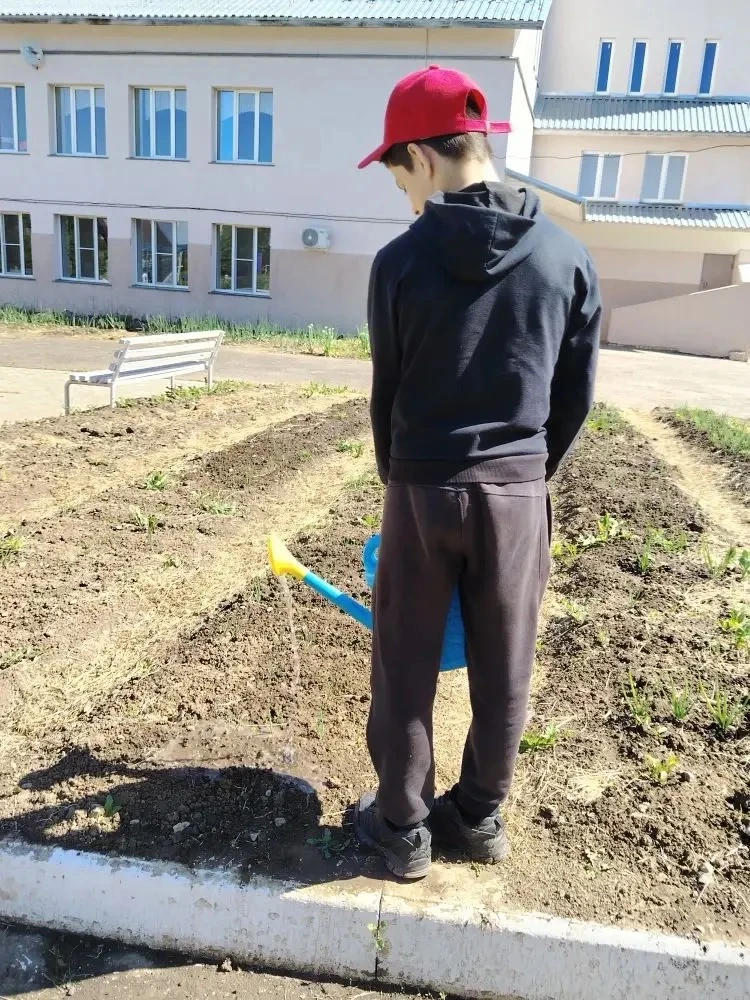 Вести из Лагеря труда и отдыха: «Зелёный дозор»
📍 01–05 июня

Что мы сделали за эту трудовую неделю