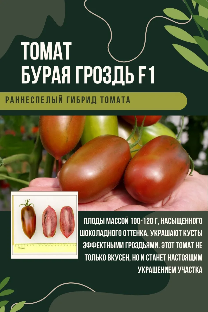 🍅 ТОМАТЫ ДЛЯ КОНСЕРВАЦИИ: ПЛОТНЫЕ И УРОЖАЙНЫЕ СОРТА Если вы делаете заготовки, то точно знаете — не 