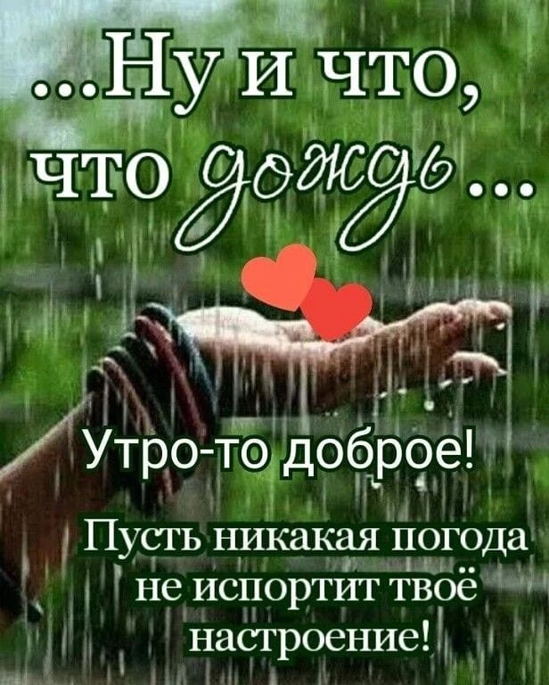 Доброе утро пятницы

❤️😍🔥👍 — ставьте реакции, пересылайте друзьям и близким 
                 
💌