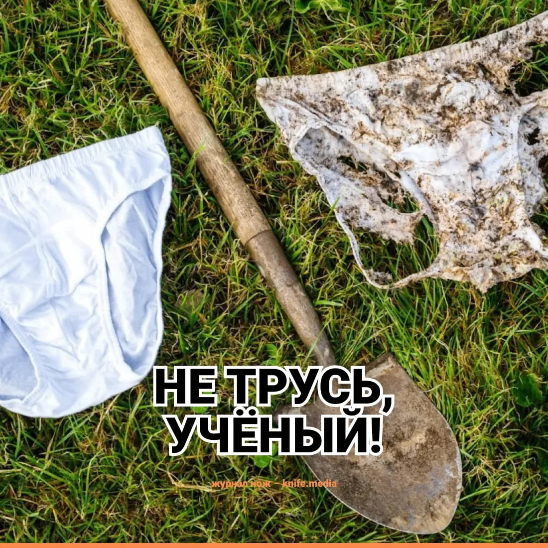 Швейцарцы закопали более 2000 трусов во благо науки.