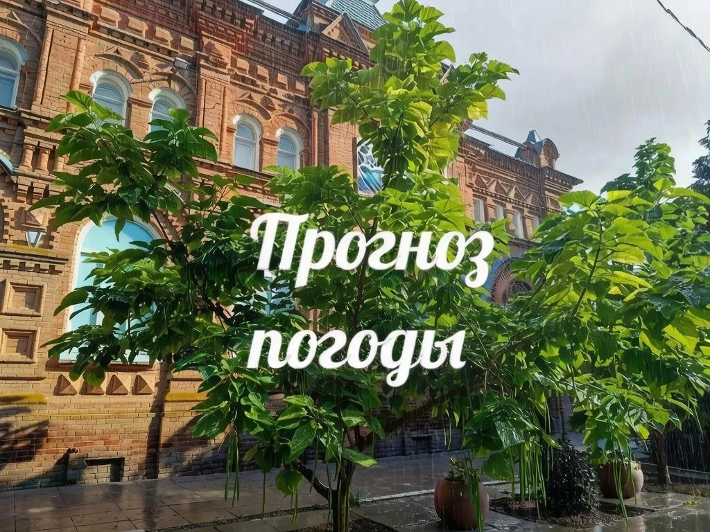 ⚡ Прогноз погоды на 8 сентября 2026 года: дождливо и ветрено!