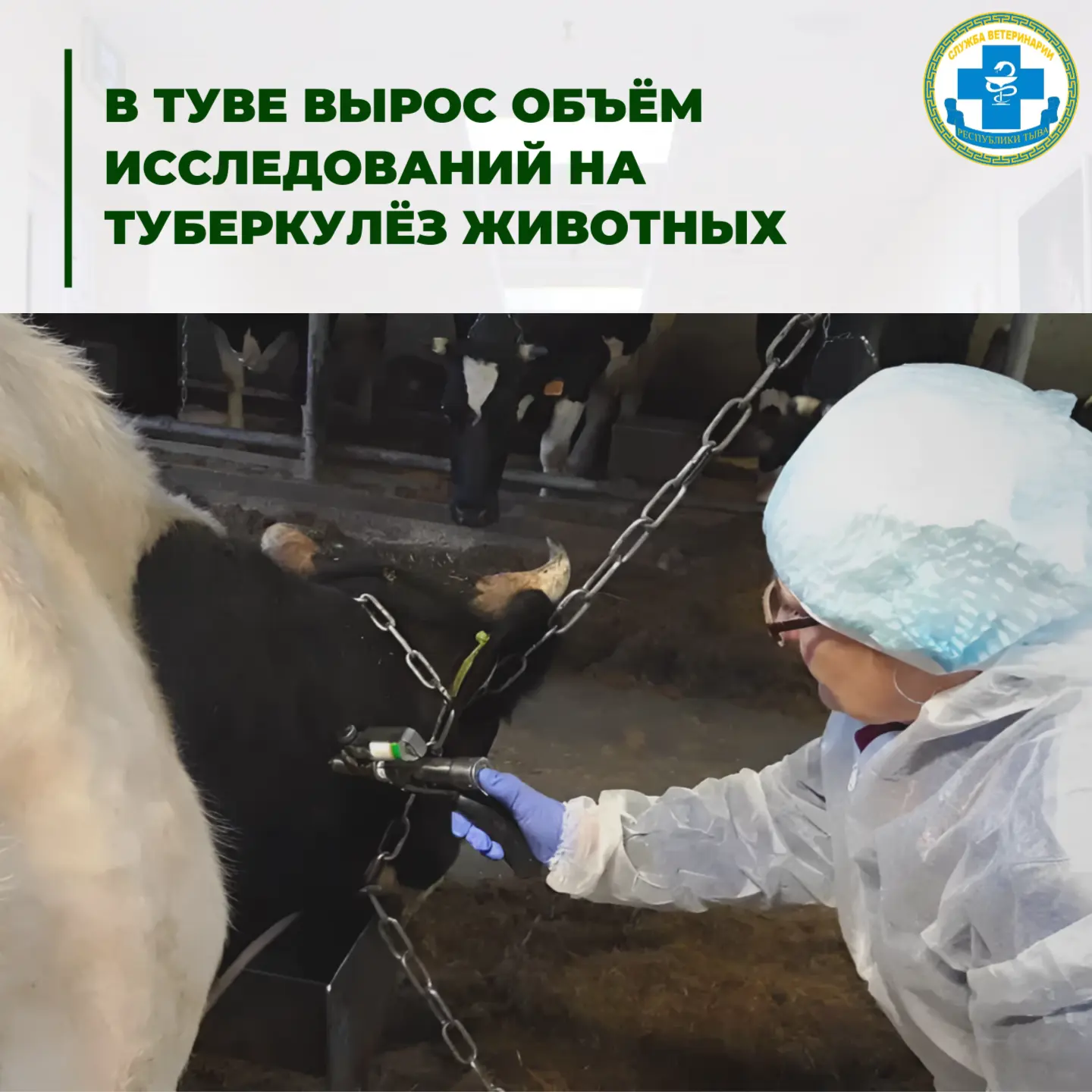 🦠Туберкулёз — одно из самых опасных инфекционных заболеваний, общих для человека и жив...