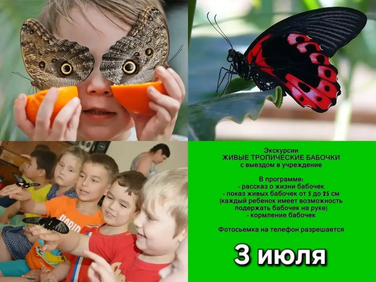 📚🧸БУДНИ В ДЕТСКОМ САДУ📚🧸

🦋 Сегодня у наших ребят произошло настоящее маленькое чудо — к нам пр