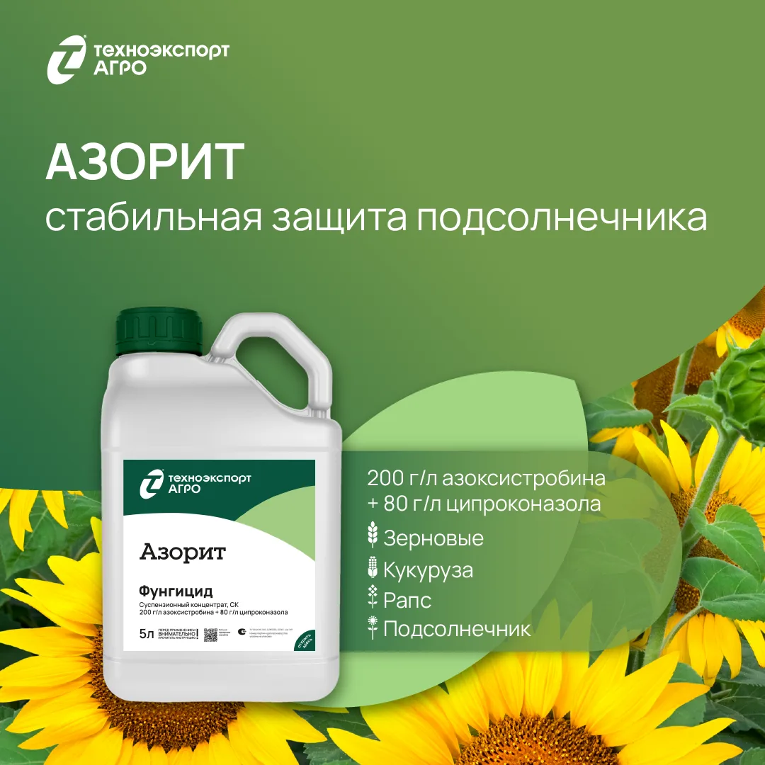 🌻 Постепенный и планомерный рост площадей возделывания подсолнечника естественно повлё...