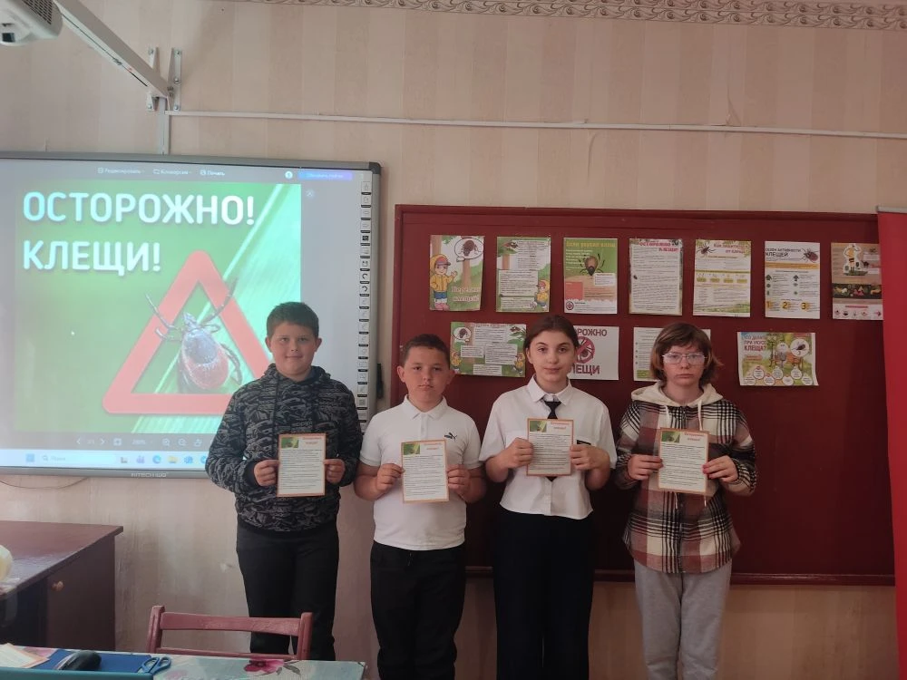 🪲 "Осторожно, клещи!" 🪲