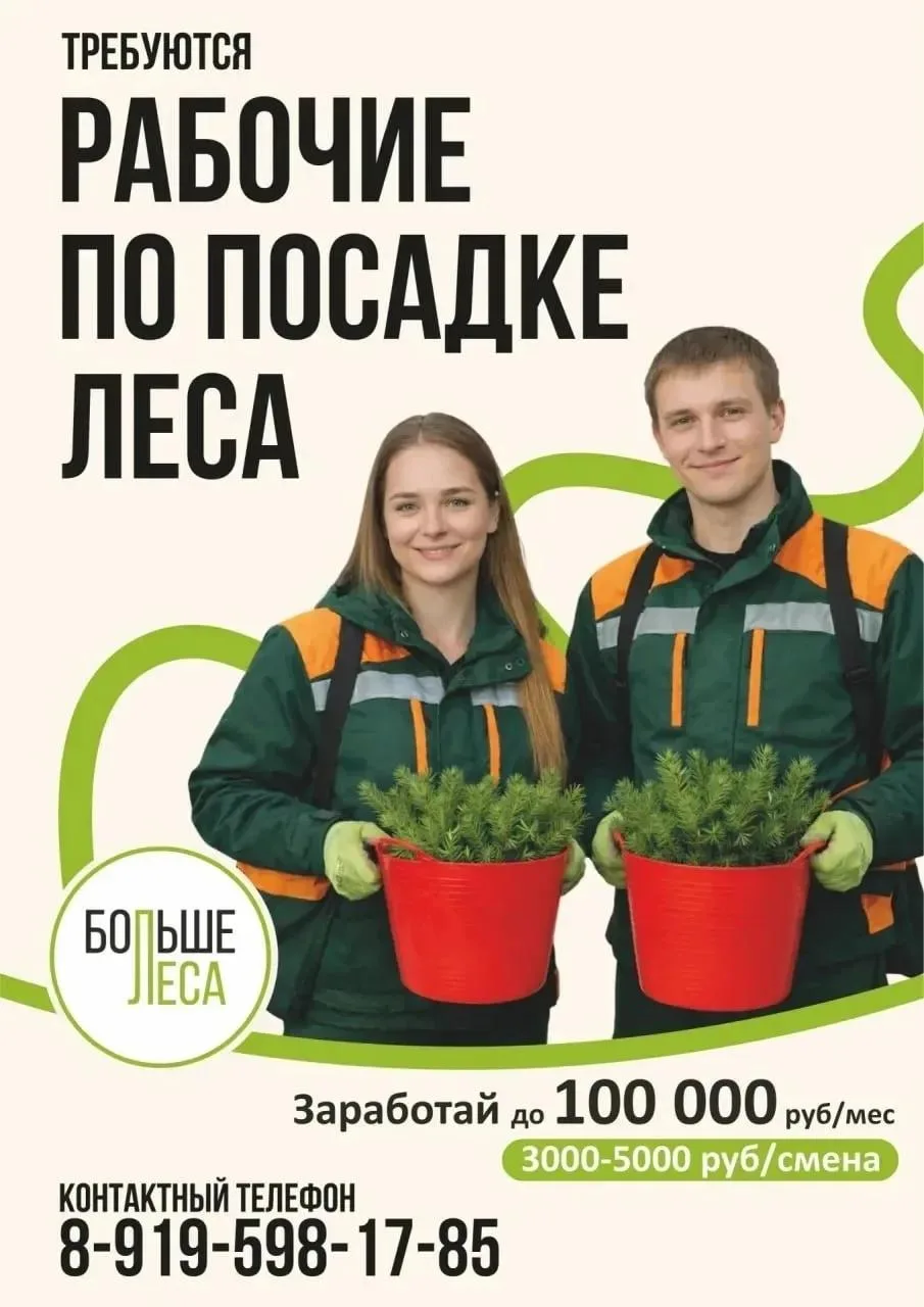 ТРЕБУЮТСЯ РАБОЧИЕ ПО ПОСАДКЕ ЛЕСА!