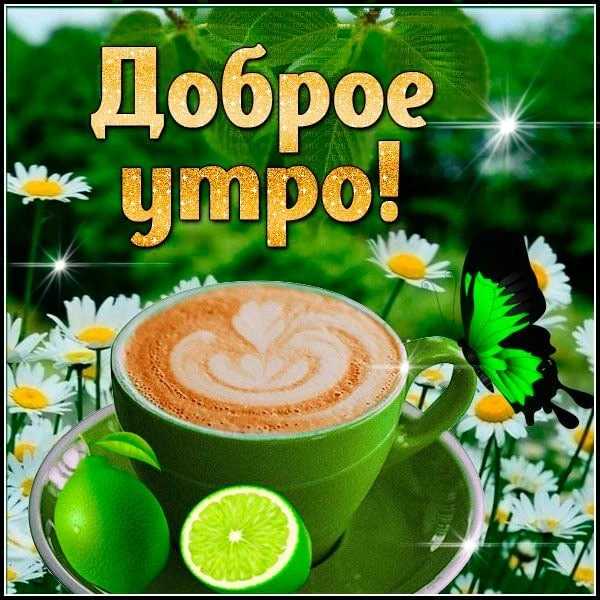 Доброе утро! ☀️