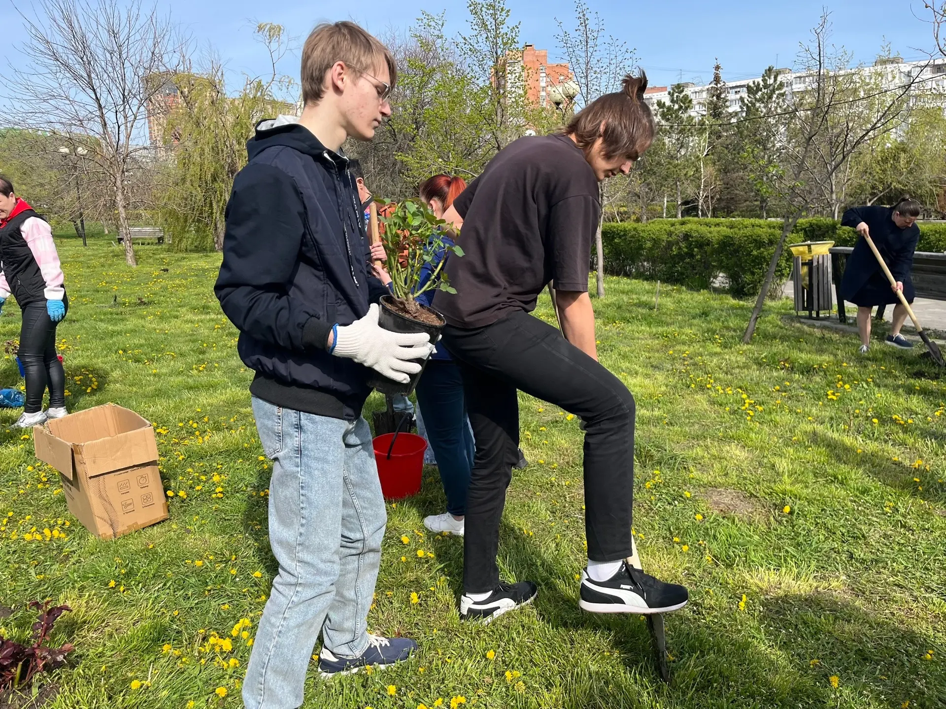 Ученики школы 104, отряд экологов и отряд волонтеров приняли участие совместно с учителями, родителя