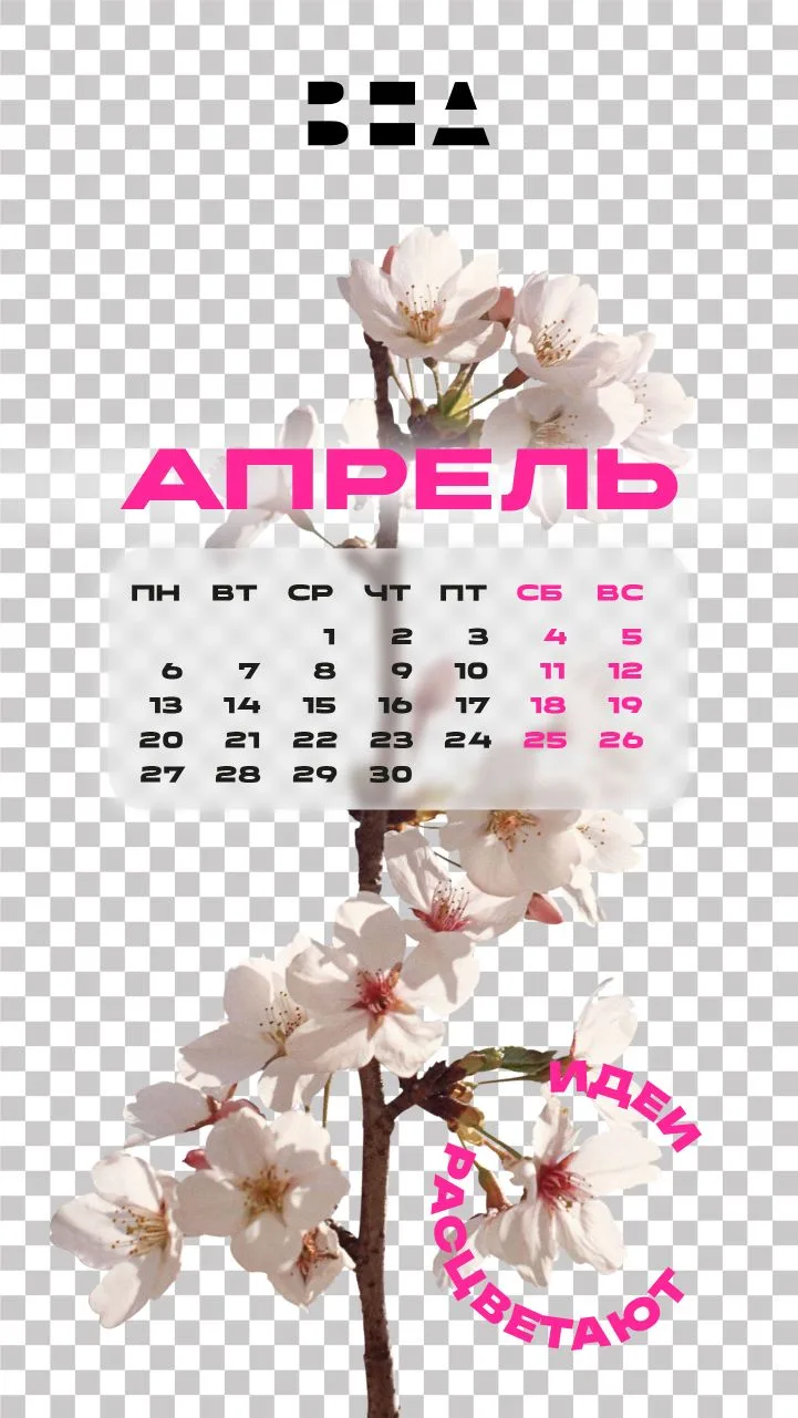 Время цвести и обновляться🦋