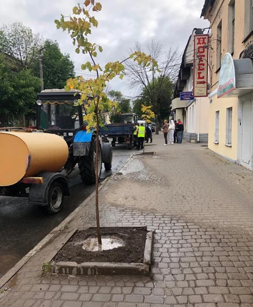 До конца ноября в Калуге планируется высадить около 600 деревьев