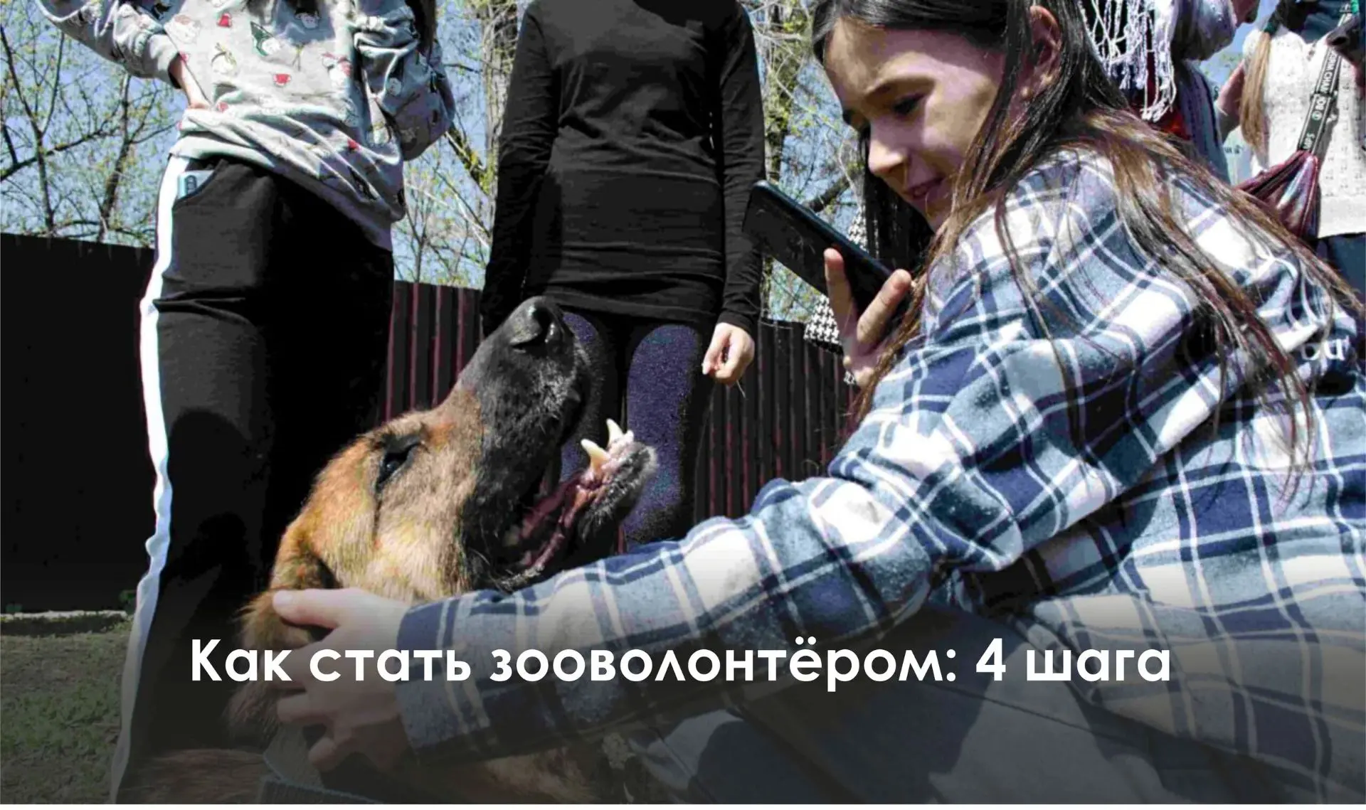 🔸Регистрация: Создайте профиль на Добро.рф. Это даст доступ к вакансиям и личную книжк...