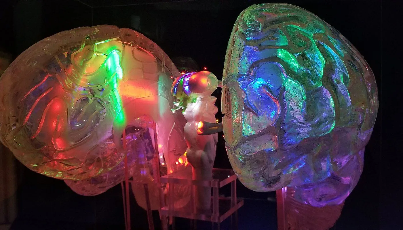 Экскурсия в Музей Мозга 🧠