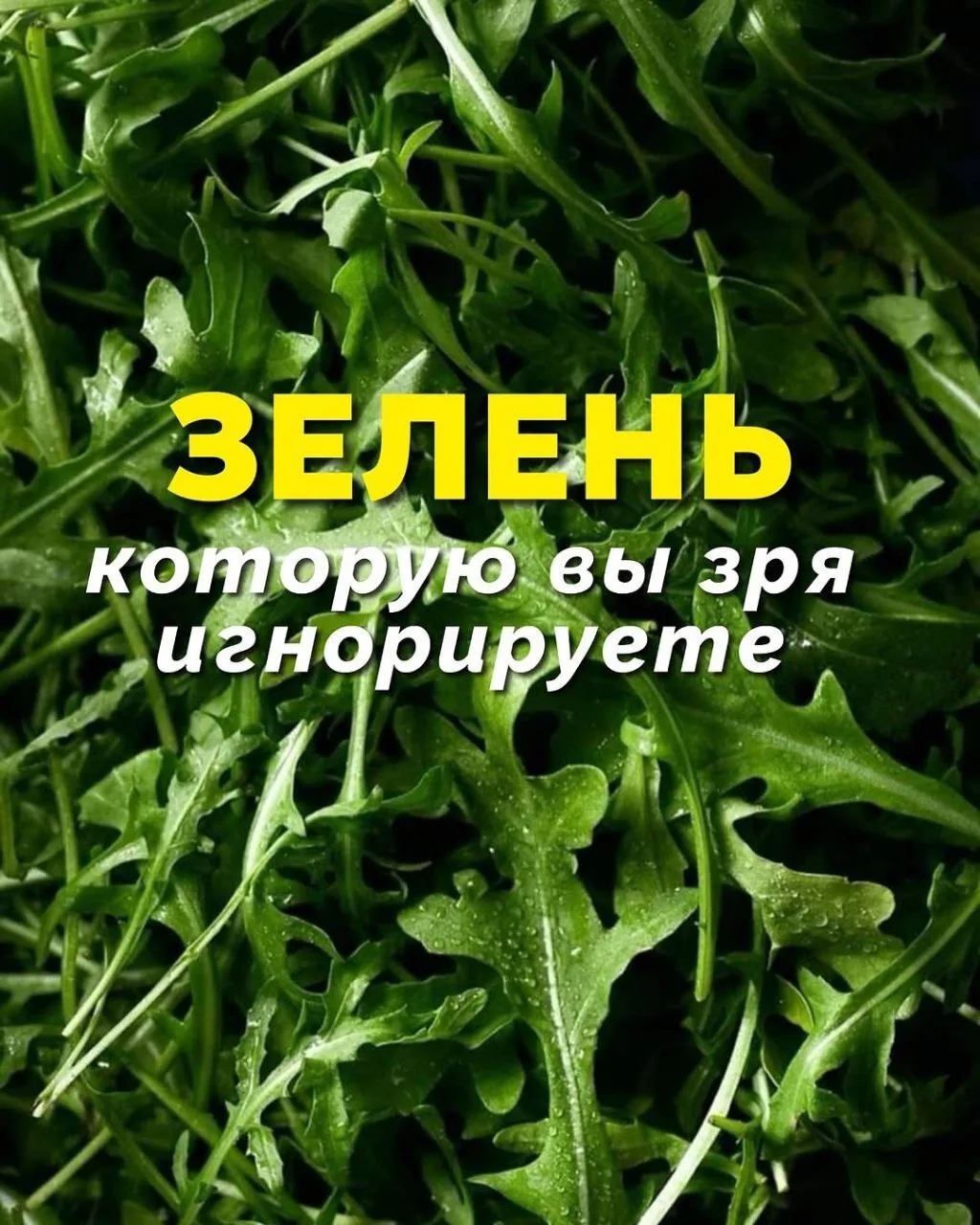 Зелень, или как стать супергероем на кухне! 🥗🌿