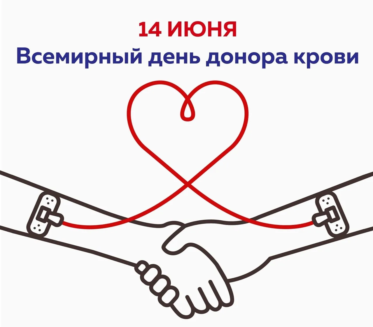 Сегодня отмечается Всемирный день донора крови.

В Туве насчитывается почти шесть тысяч человек, кот