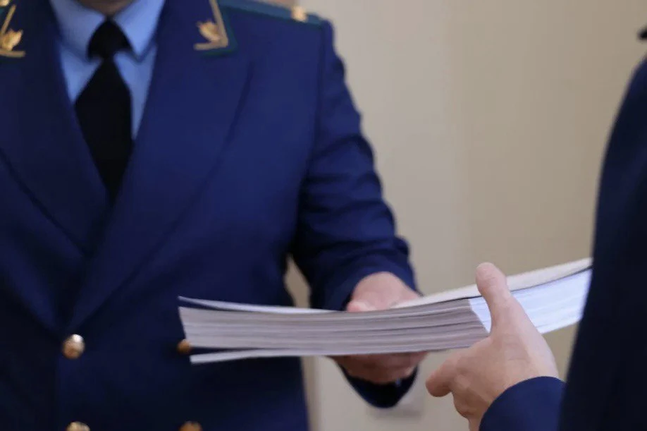 В Благовещенске суда ожидает злостный неплательщик алиментов. Прокуратура направила дело в суд

Прок