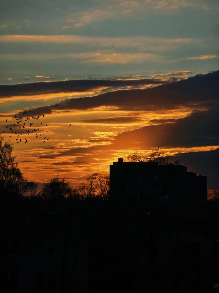 Закат сегодня в Монино
