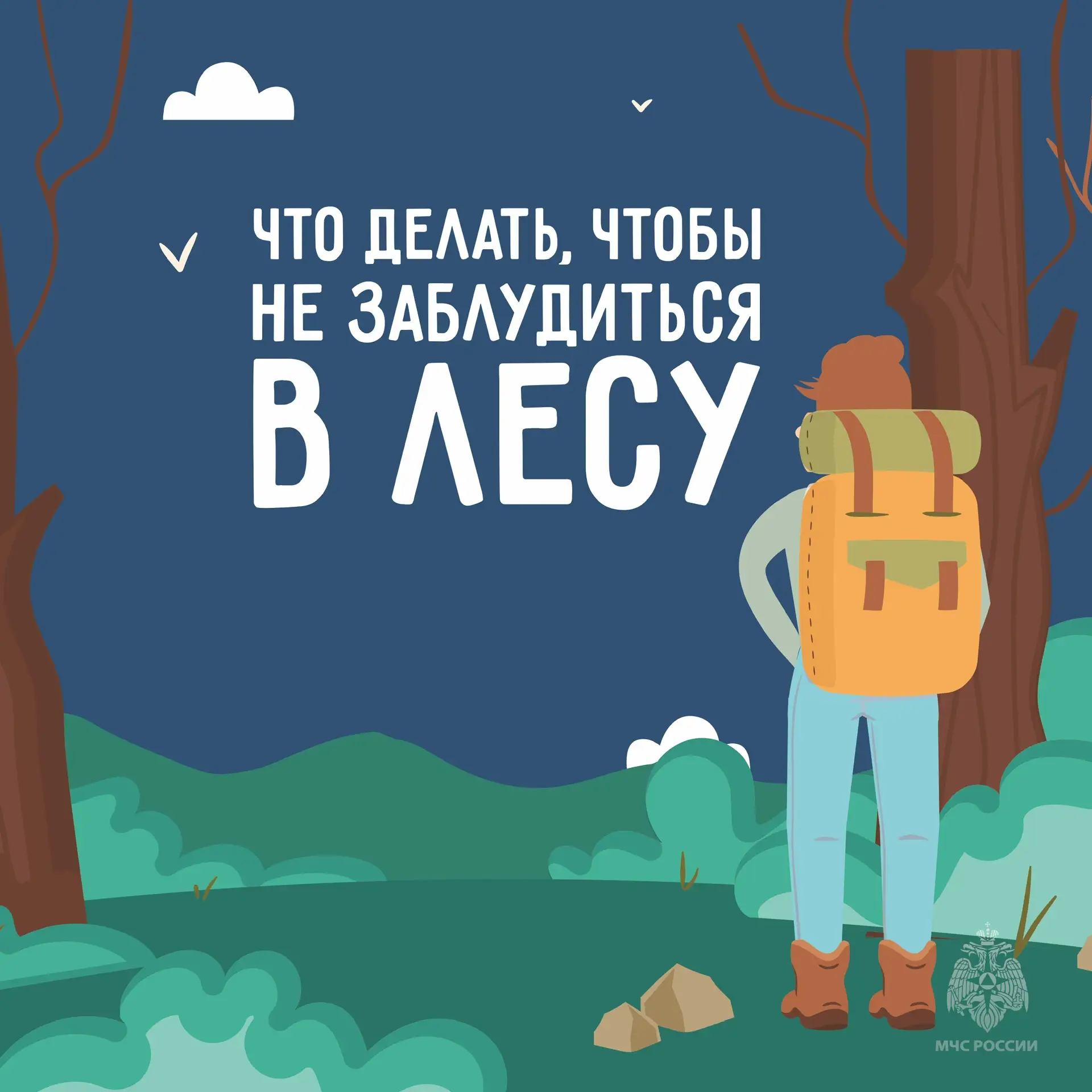 🌳 В лес - безопасно

Лето в Заполярье - идеальное время для походов, сбора ягод и грибов, но лес ко