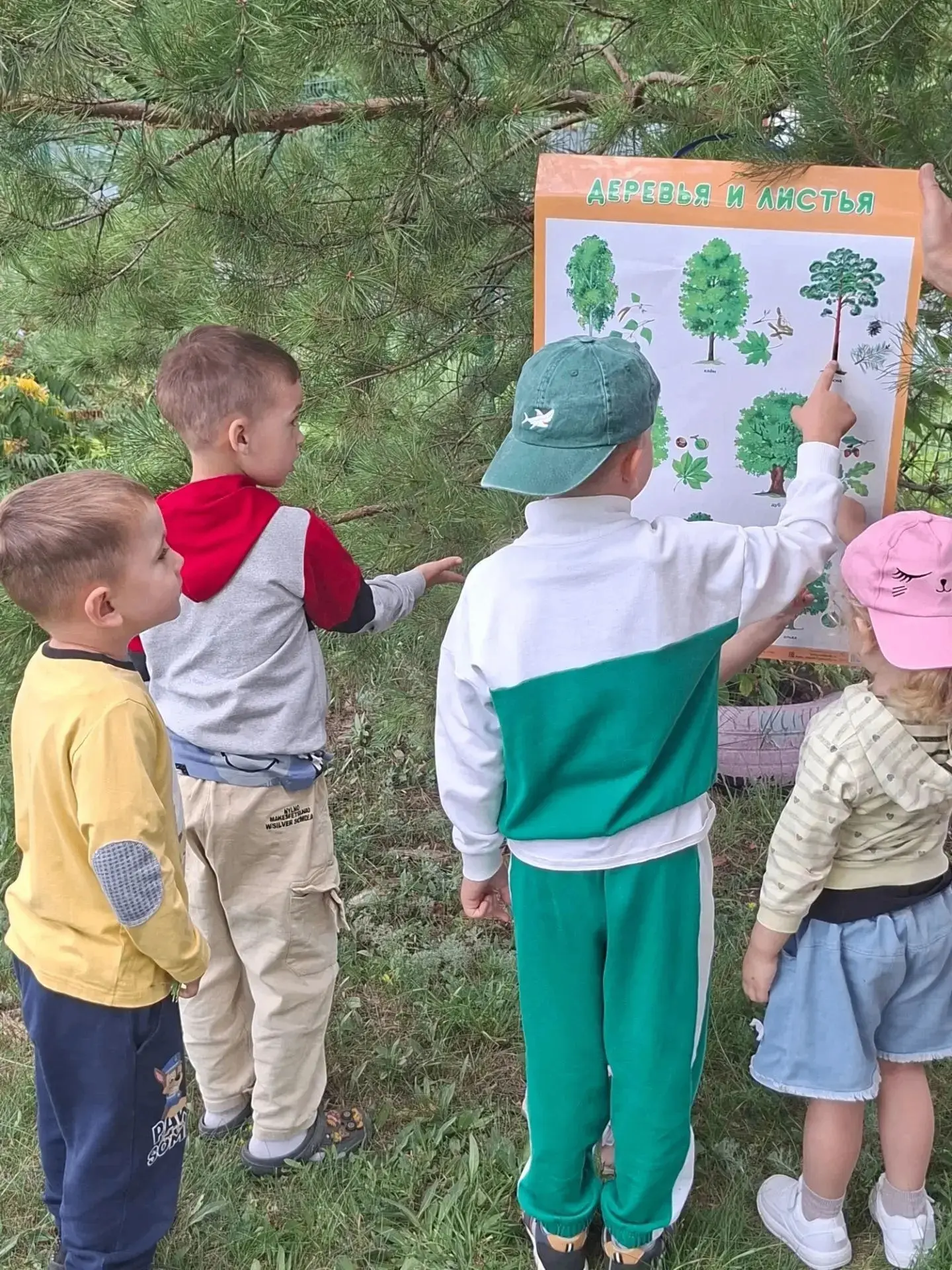 #ГодДошкольногоОбразования