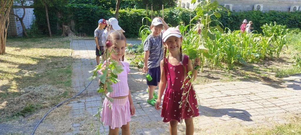 Лето в «Ручейке»: маленькие открытия каждый день! ☀️

Солнце, тёплый воздух и звонкий смех — так про