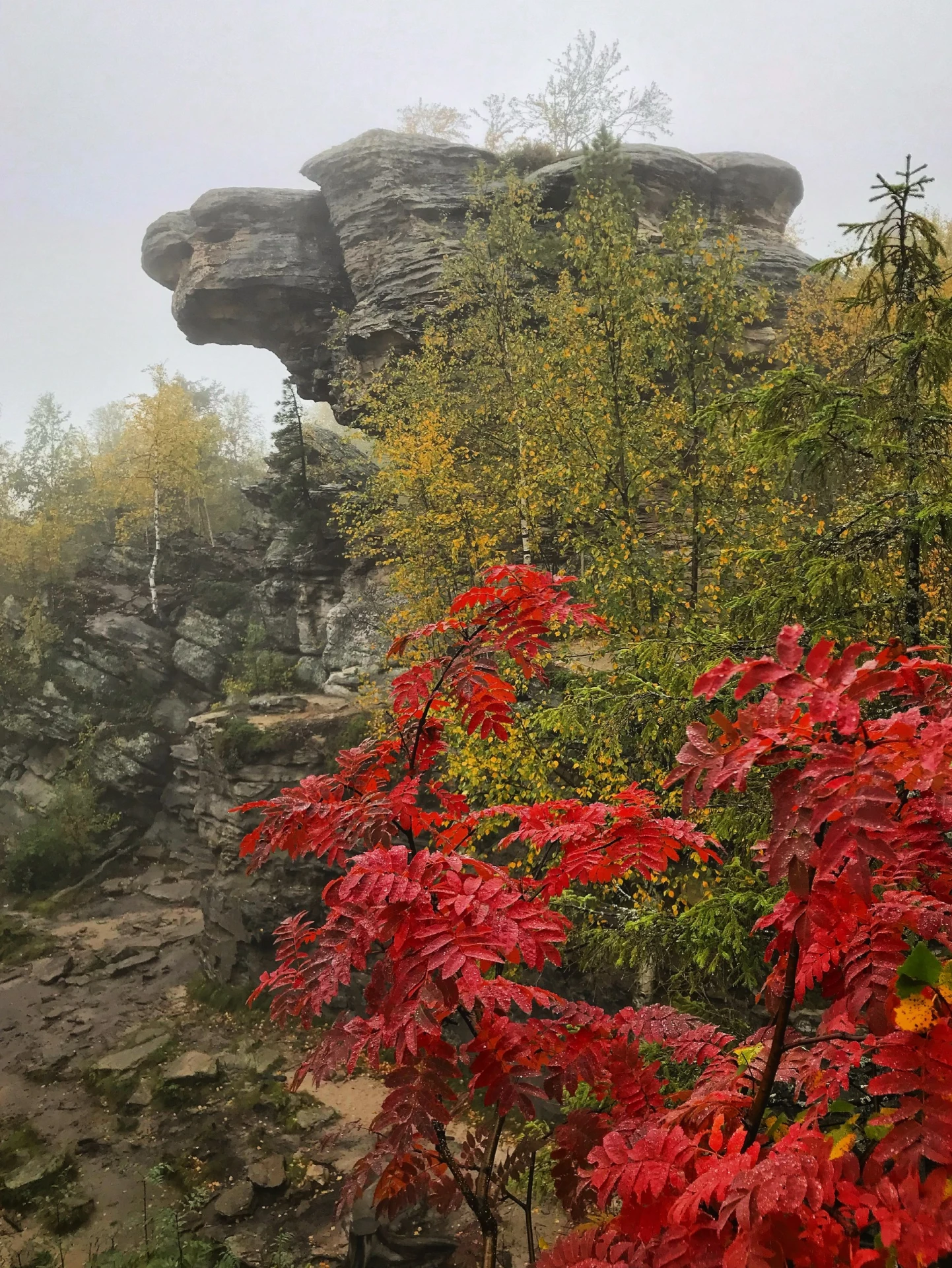 🌲 Золотая осень в Каменном городе