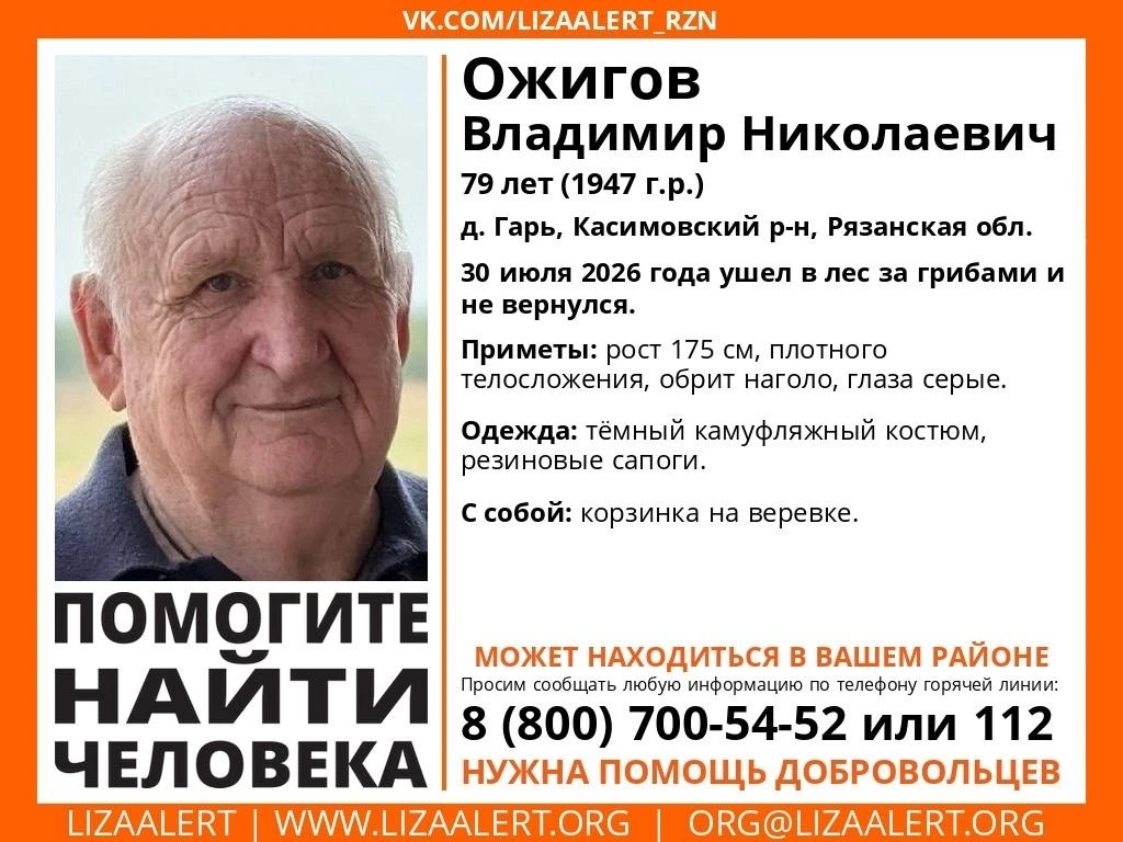 В Касимовском округе пропал 79-летний  грибник

Владимир Ожигов ушёл в лес из деревни Гарь 30 июля и